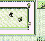 Pokemon Factory Adventure 