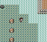 Pokemon Factory Adventure 
