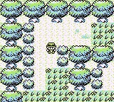Pokemon Factory Adventure 