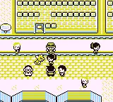 Pokemon Factory Adventure 
