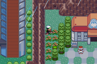 Pokemon Frontier Adventure  GBA