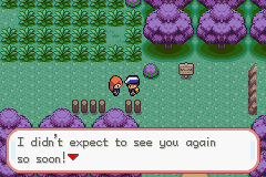Pokemon Amaryllis GBA