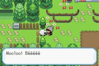 Pokemon Sword and Shield GBA 