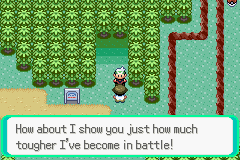 Pokemon Expert Emerald