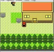 Pokemon Dark Graystone