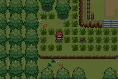 Pokemon Fire Burn GBA