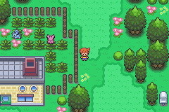 Pokemon Advanced Adventure