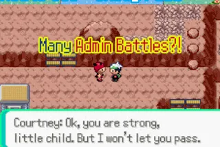 Pokemon Another Emerald