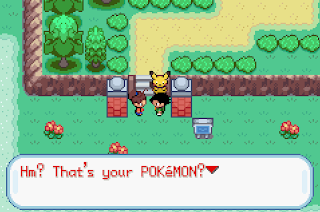 Pokemon AshGray