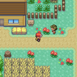 Pokemon Aurora GBA