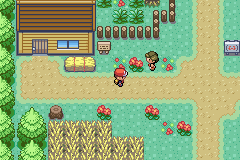 Pokemon Aurora GBA