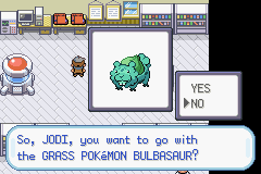 Pokemon Bidoof Version