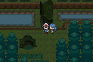Pokemon Black & White Advanced