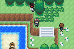 Pokemon Black & White Advanced