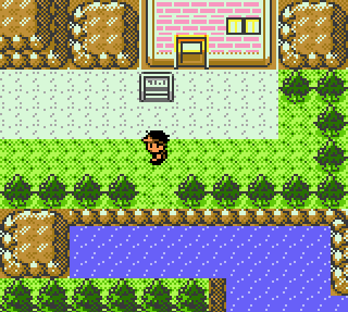 Pokemon Bronze 2