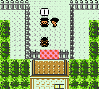 Pokemon Bronze 2