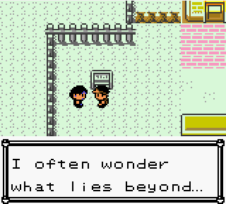 Pokemon Bronze 2