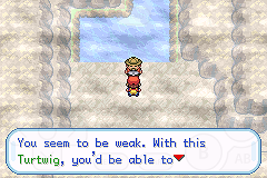 Pokemon Cloud White 2 