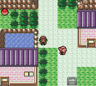 Pokemon Coral Version