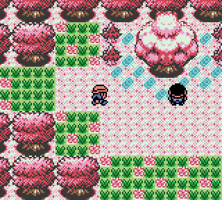 Pokemon Coral Version