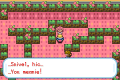 Pokemon CrystalDust