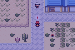 Pokemon Desert Version