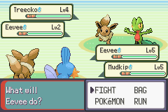 Pokemon Emerald: Double Version