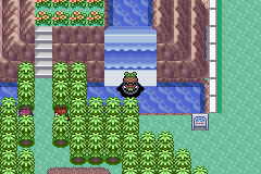 Pokemon Emerald Kaizo
