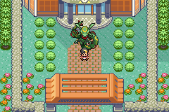 Pokemon Emerald Multiplayer 
