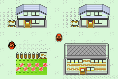 Pokemon Fire Red Minus