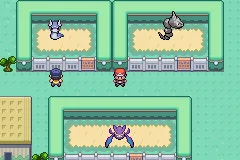 Pokemon FireRed Reimagined
