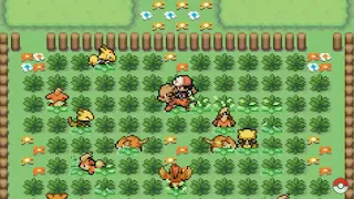 Pokemon Let’s Go Pikachu & Eevee GBA