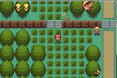 Pokemon Metal Red