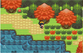 Pokemon Dark Realm