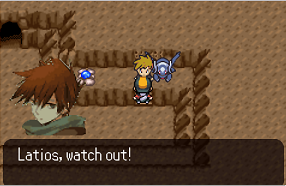 Pokemon Dark Realm