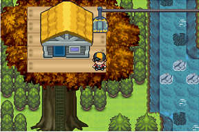Pokemon Dark Realm