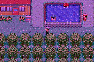 Pokemon X & Y GBA 