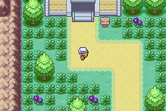 Pokemon Fuligin GBA