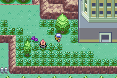 Pokemon Fuligin GBA