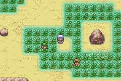 Pokemon Fuligin GBA