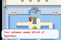 Pokemon Fire Yellow 