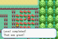 Pokemon FireRed VR Missions