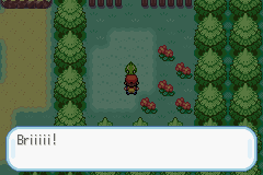 Pokemon Flare GBA