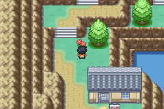 Pokemon Genesis GBA