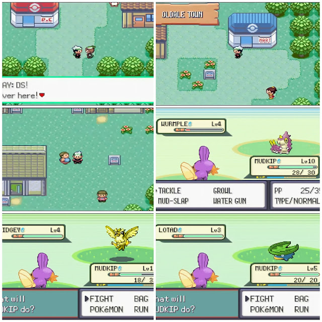 Pokemon Vali Emerald GBA