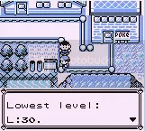 Pokemon Intense Indigo Edition 