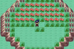 Pokemon Hollow Mysteries
