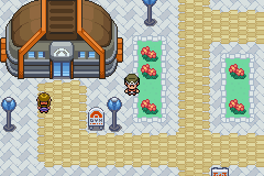 Pokemon Chileno