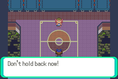 Pokemon Emerald Rogue GBA