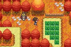 Pokemon Life Version GBA ROM